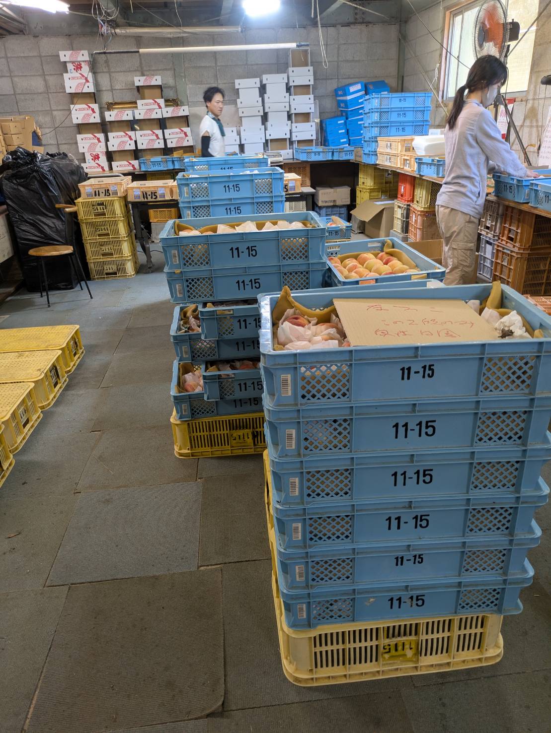 ももタケ自然農縁(^o^)