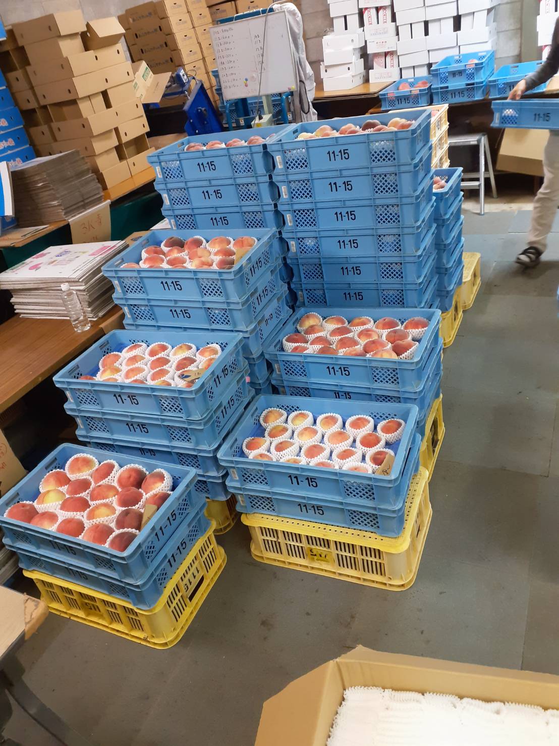 あらかわの桃、川中島白桃(^o^)